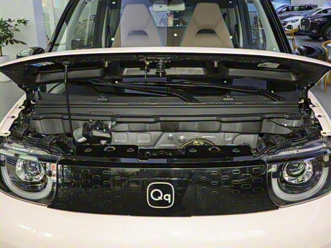 2024�� 205km ʥ��Pro