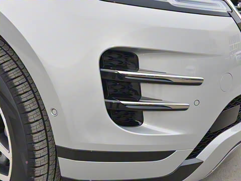 2021�� ����L P300e ������