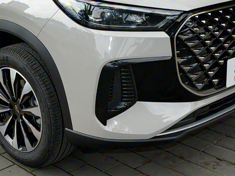 2025�� 290TGDI DCT�˷�� 