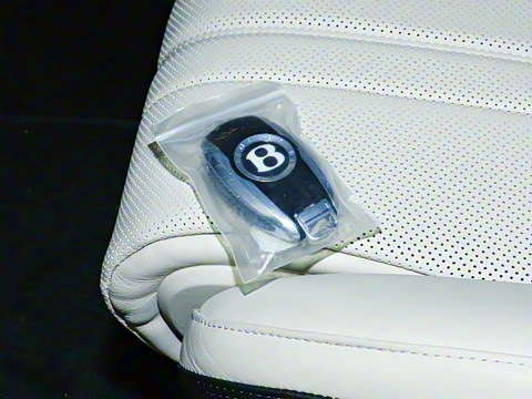 2024�� 4.0T GT V8