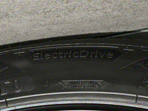 2025�� ����������