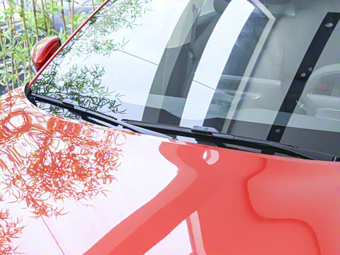 2024�� 555������