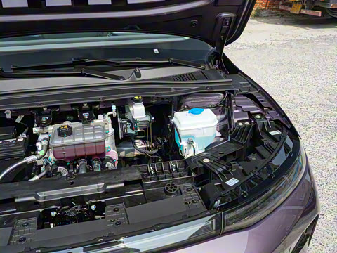 2025�� 650������