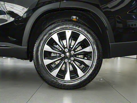 2025�� 290TGDI DCT������ 7��