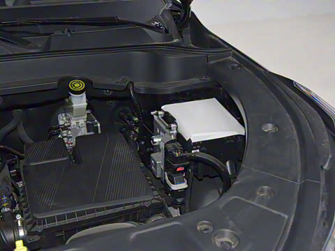 2025�� �ǻ������� 125km ������