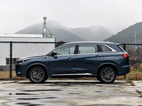 2025�� 165km ������������ 7��