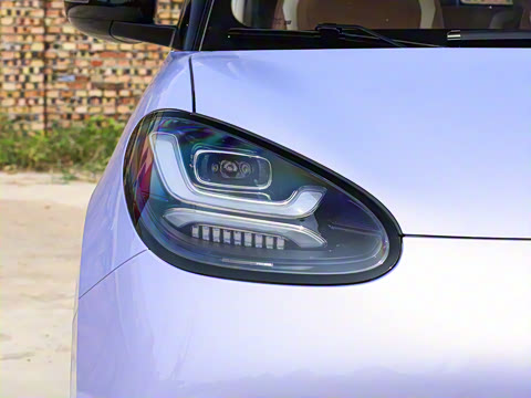 2025�� 333km ������