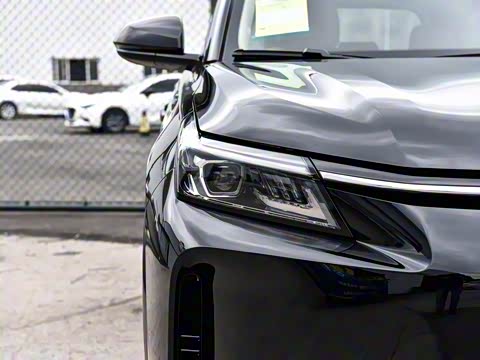 2025�� 165km ������������ 5��