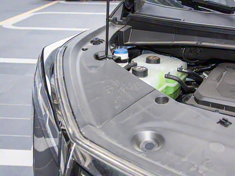 2025�� Ǭ��ϵ�� Max ������