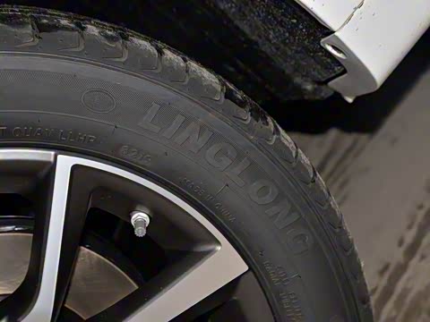 2019�� ����� 1.5L �ֶ��������˰� ��V