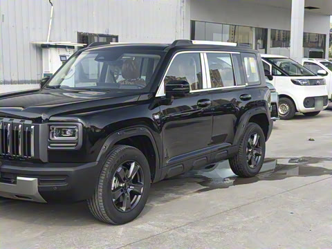 2025�� 2.0T 4WD Pro