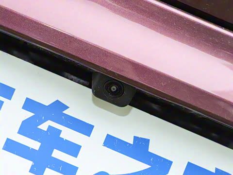 2025�� �Ǽݰ� DM-i 1.5T 125km �콢��