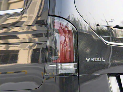 2024�� V 300 L ����������