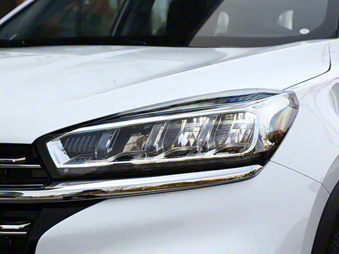 2025�� 290TGDI �Զ����а� 5��