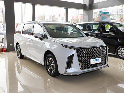 2025�� 2.0T �ǻ�������