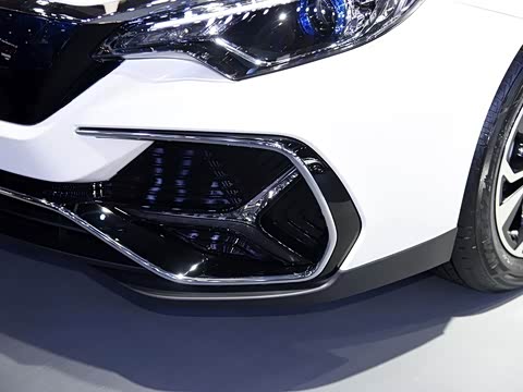 2019�� ������������