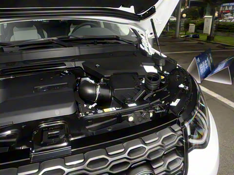 2022�� �Ŀ� P300e ���ʽ�綯��ϰ�