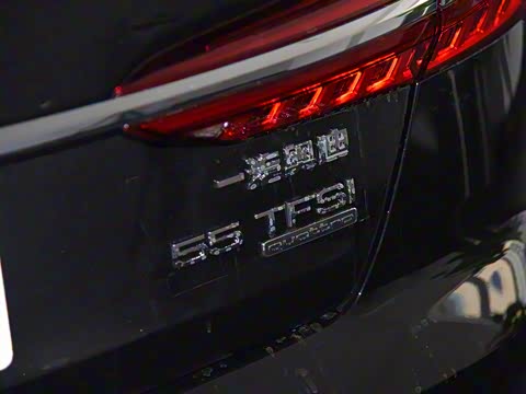 2019�� 55 TFSI quattro ����������