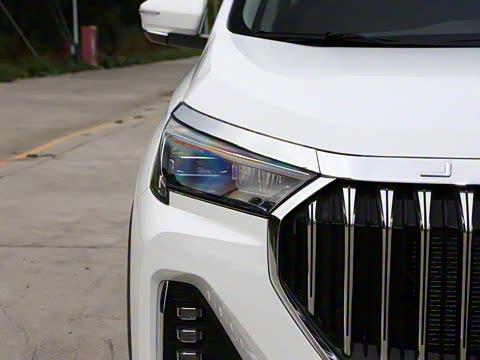 2024�� 1.6TD �ֶ���PRO 7��