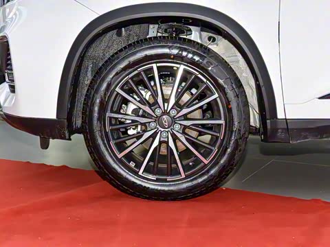 2023�� 290TGDI DCT������