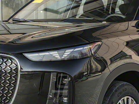 2025�� 1.5T 116km ������ 7��