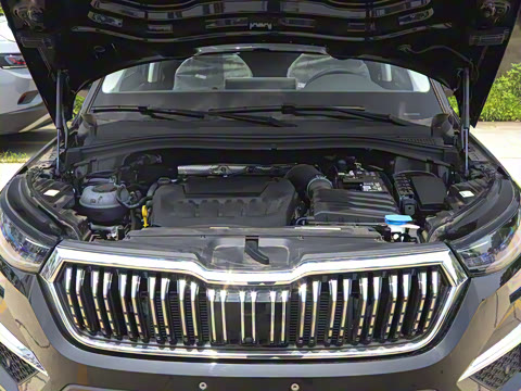 2025�� TSI380 7�������콢��