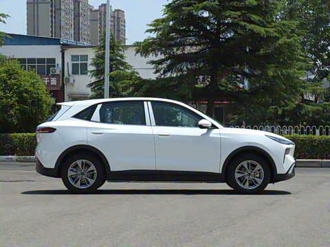 2025�� 445km ��ѡ��