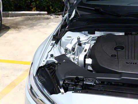 2026�� B4 ��Զ�˶���