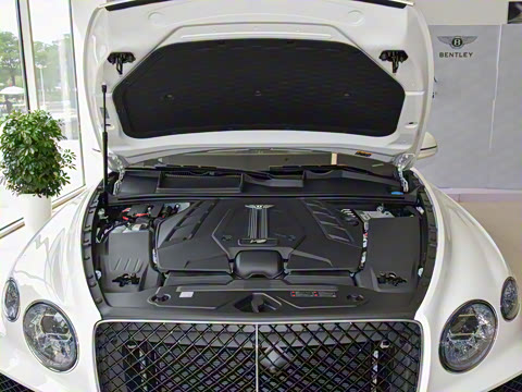 2026�� 4.0T V8 ������