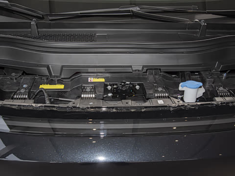 2025�� ���� 650������ Max