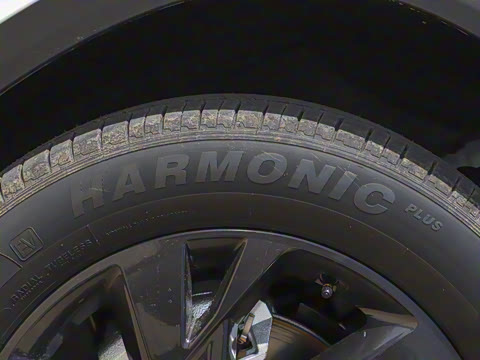 2025�� 518������