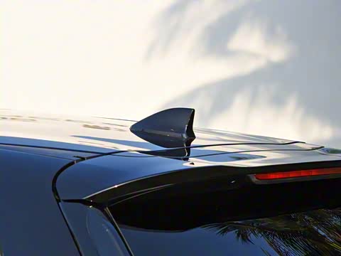 2020�� �񡤻춯 2.0L �����񡤻�ҹ��