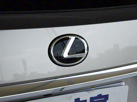 2020�� 300 �������Ű� ��VI