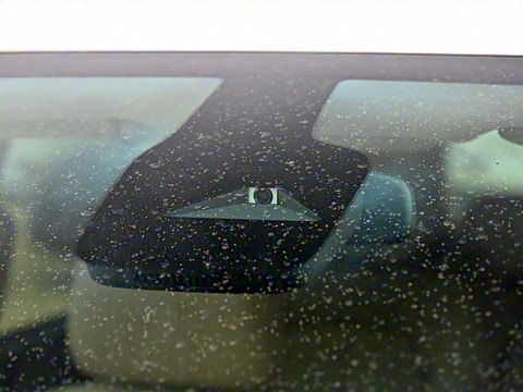 2025�� ½�� ������ 7��