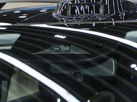 2024�� ���������� 520 �����״��