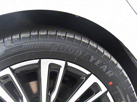 2019�� ��Max 630