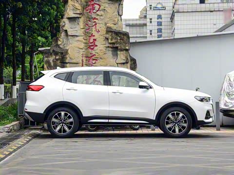 2025�� 1.5T �����ھ���