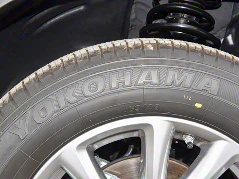 2025�� 2.0L �Զ���������Pro