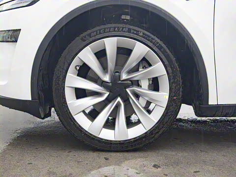 2025�� ������ȫ��������