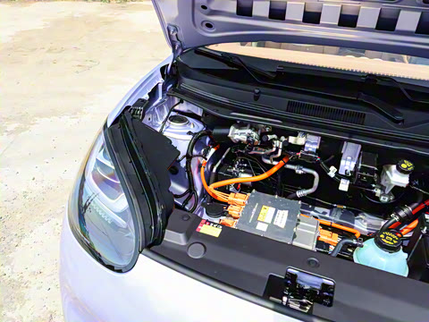 2025�� 333km ������