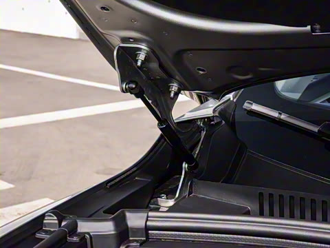 2023�� ������������