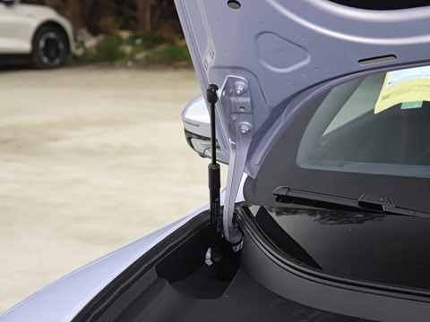 2025�� Max�����