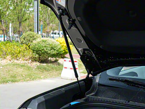 2025�� 501KM ����Max��