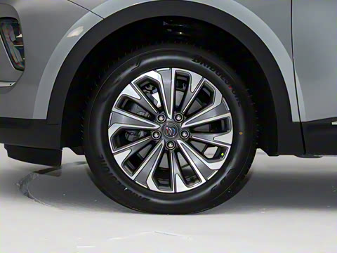 2025�� 25T �����׽��