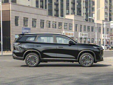 2025�� 1.5T 116km ������ 7��