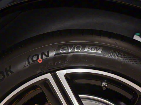 2025�� ��������������