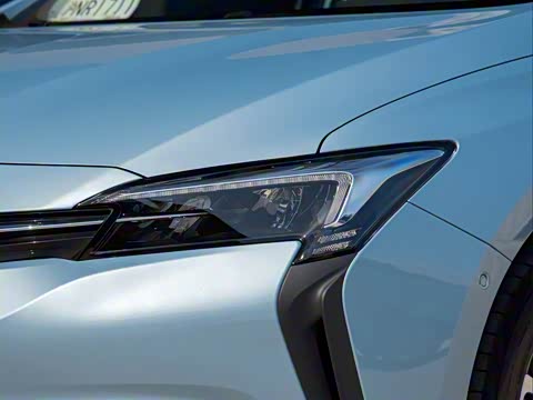 2020�� �����ǻ��� PLUS