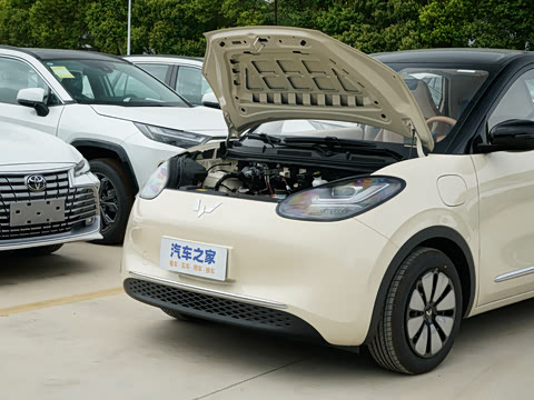 2025�� 333km ������