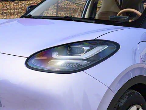 2025�� 333km ������