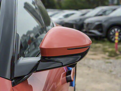 2025�� Max�����